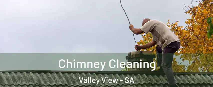 Chimney Cleaning Valley View - SA