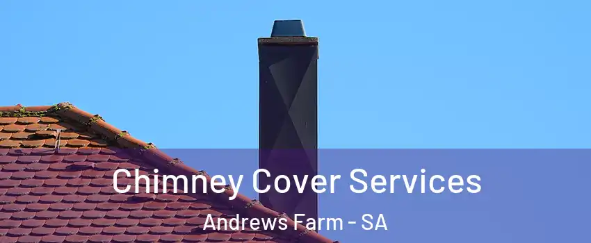  Chimney Cover Services Andrews Farm - SA
