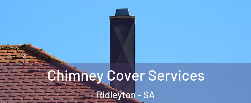 Chimney Cover Services Ridleyton - SA