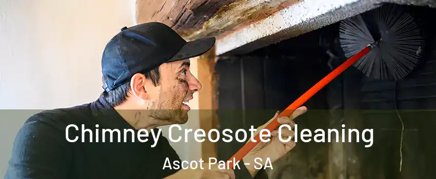  Chimney Creosote Cleaning Ascot Park - SA