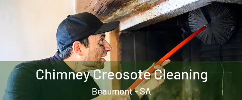 Chimney Creosote Cleaning Beaumont - SA
