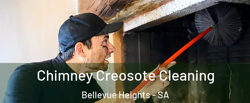 Chimney Creosote Cleaning Bellevue Heights - SA