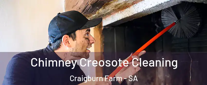 Chimney Creosote Cleaning Craigburn Farm - SA