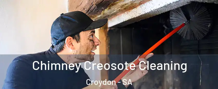 Chimney Creosote Cleaning Croydon - SA