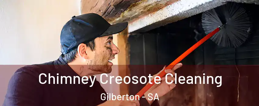 Chimney Creosote Cleaning Gilberton - SA
