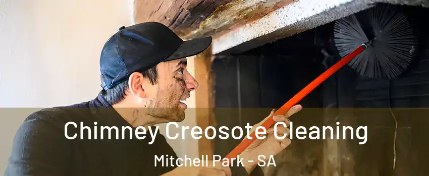 Chimney Creosote Cleaning Mitchell Park - SA