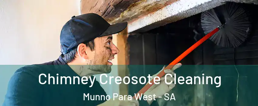 Chimney Creosote Cleaning Munno Para West - SA