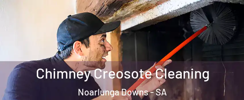 Chimney Creosote Cleaning Noarlunga Downs - SA