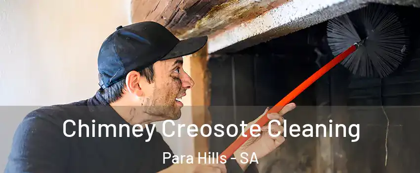 Chimney Creosote Cleaning Para Hills - SA