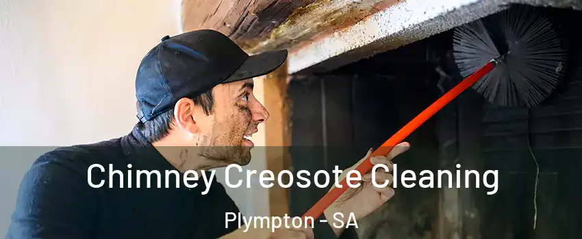 Chimney Creosote Cleaning Plympton - SA
