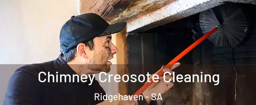 Chimney Creosote Cleaning Ridgehaven - SA