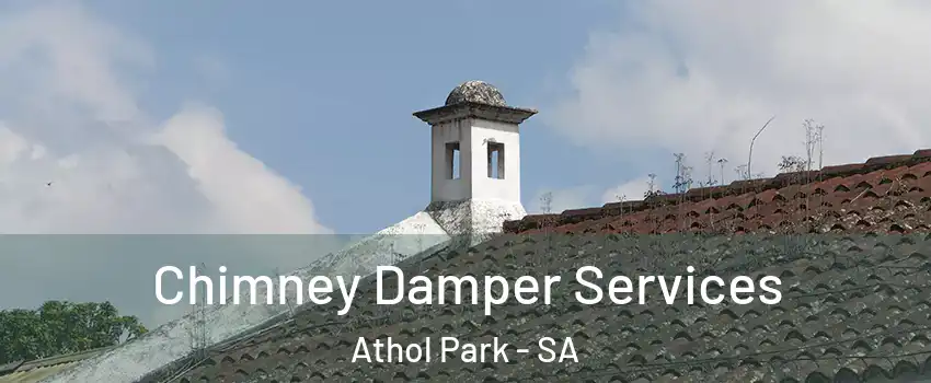 Chimney Damper Services Athol Park - SA