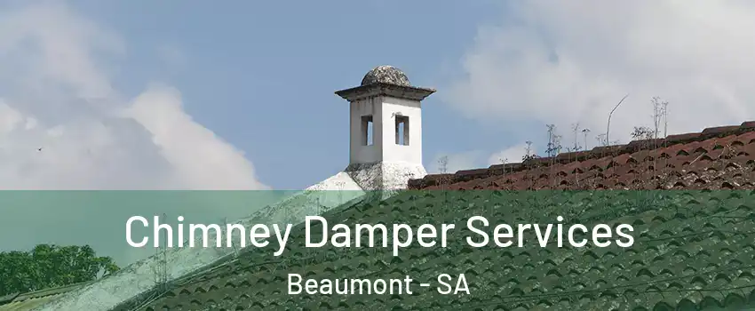 Chimney Damper Services Beaumont - SA