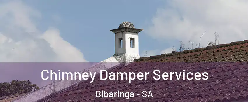  Chimney Damper Services Bibaringa - SA