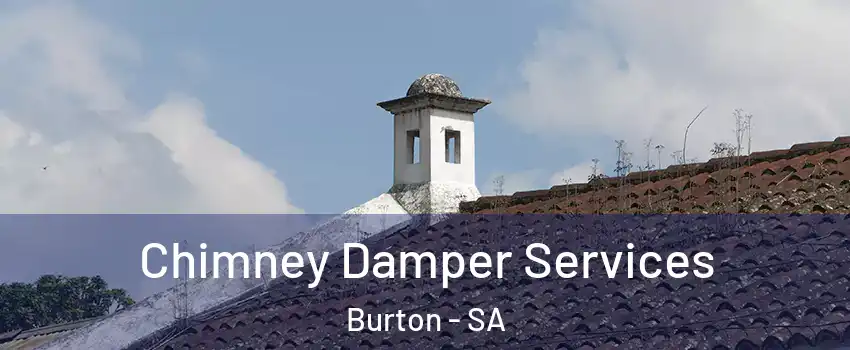 Chimney Damper Services Burton - SA