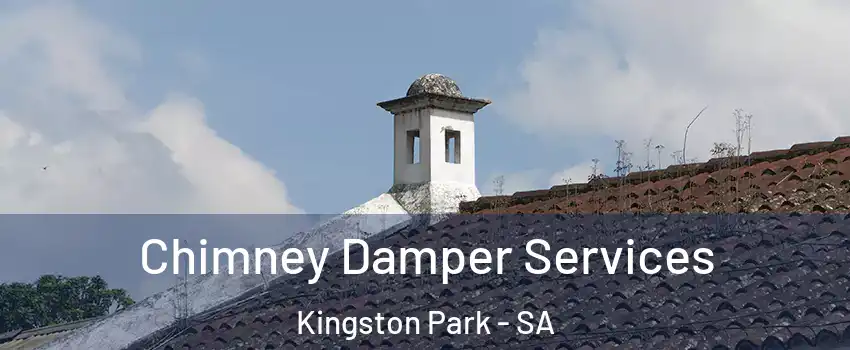 Chimney Damper Services Kingston Park - SA