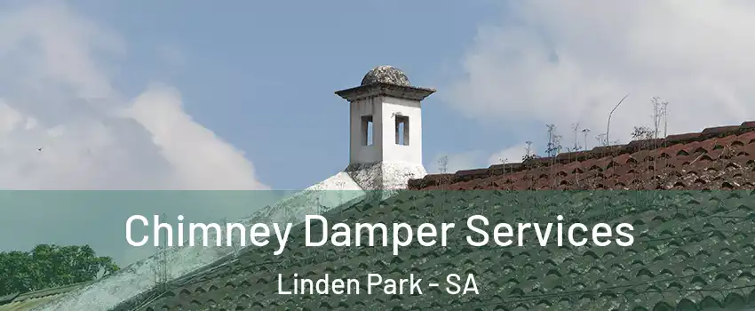 Chimney Damper Services Linden Park - SA