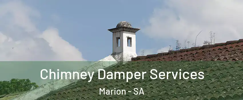 Chimney Damper Services Marion - SA