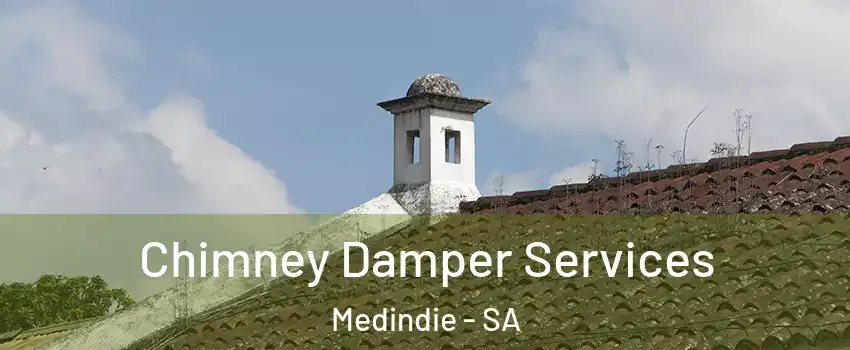 Chimney Damper Services Medindie - SA