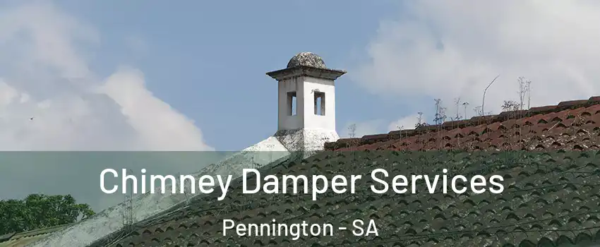 Chimney Damper Services Pennington - SA