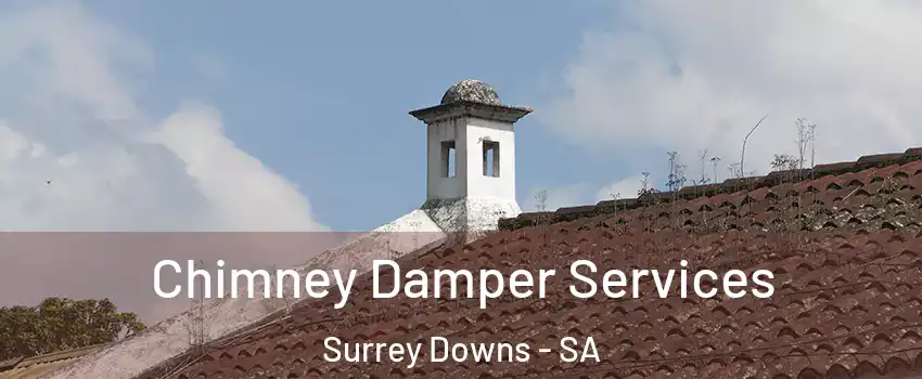 Chimney Damper Services Surrey Downs - SA