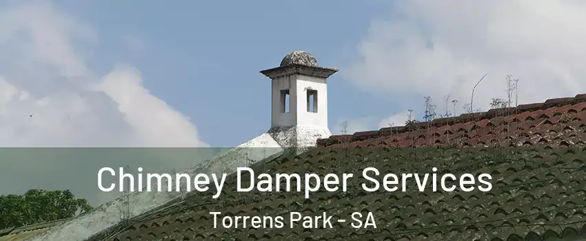 Chimney Damper Services Torrens Park - SA