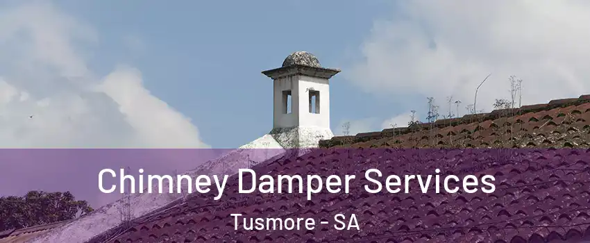  Chimney Damper Services Tusmore - SA
