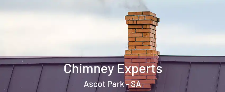  Chimney Experts Ascot Park - SA