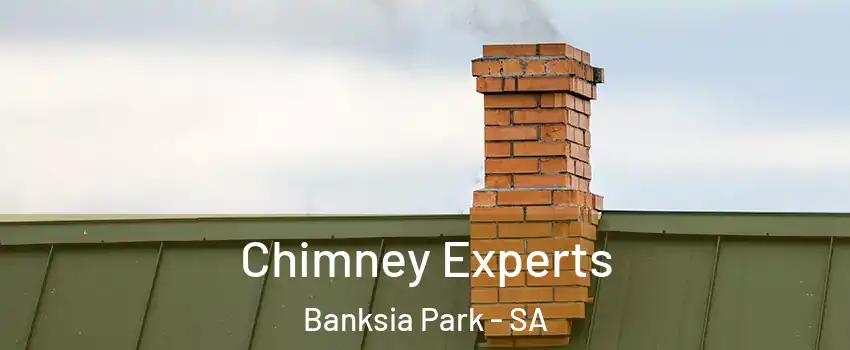 Chimney Experts Banksia Park - SA