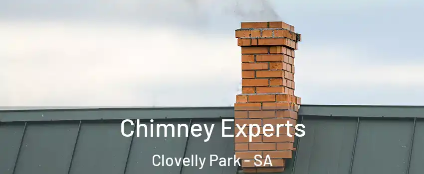  Chimney Experts Clovelly Park - SA