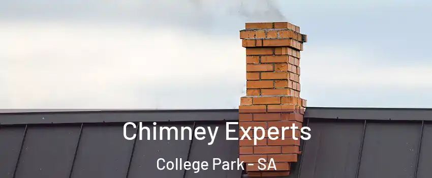  Chimney Experts College Park - SA