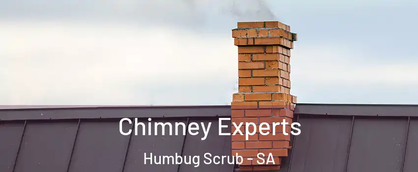 Chimney Experts Humbug Scrub - SA