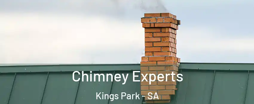 Chimney Experts Kings Park - SA
