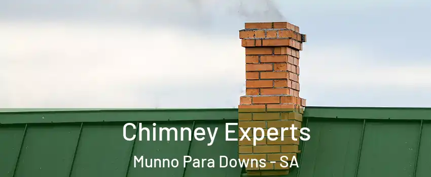 Chimney Experts Munno Para Downs - SA