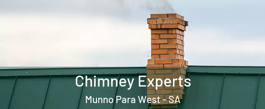Chimney Experts Munno Para West - SA