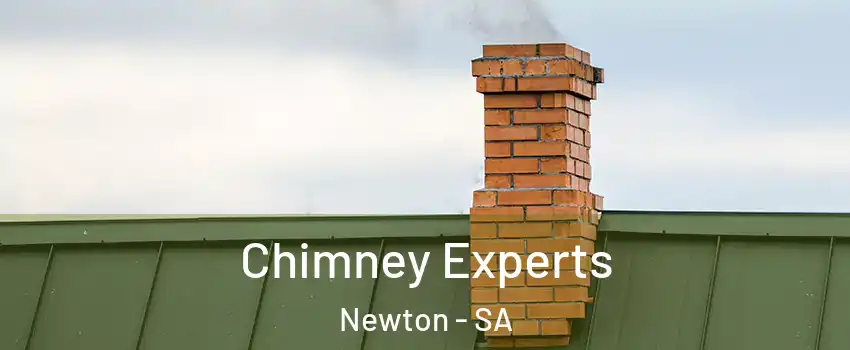 Chimney Experts Newton - SA