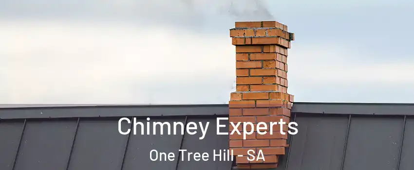  Chimney Experts One Tree Hill - SA