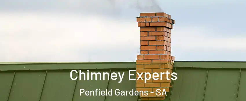 Chimney Experts Penfield Gardens - SA