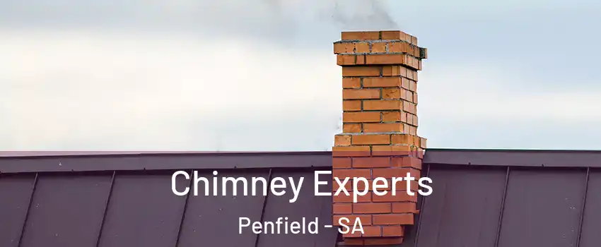 Chimney Experts Penfield - SA