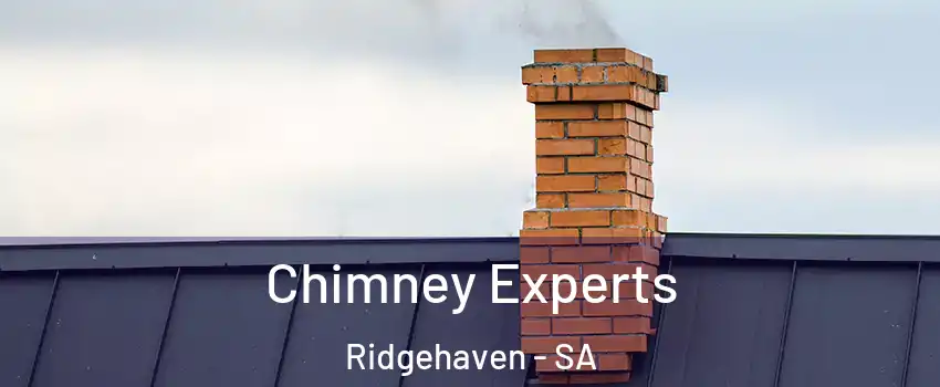 Chimney Experts Ridgehaven - SA