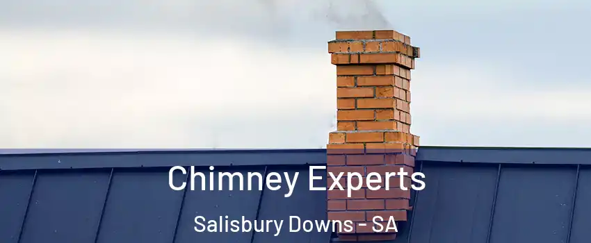 Chimney Experts Salisbury Downs - SA