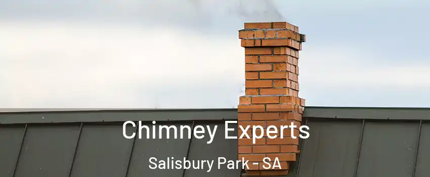 Chimney Experts Salisbury Park - SA
