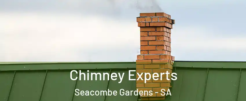 Chimney Experts Seacombe Gardens - SA