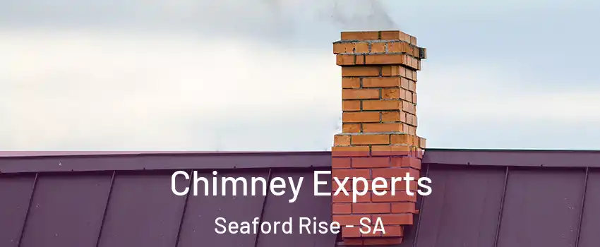 Chimney Experts Seaford Rise - SA