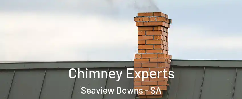Chimney Experts Seaview Downs - SA