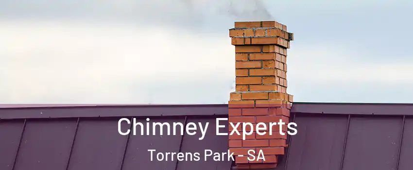 Chimney Experts Torrens Park - SA
