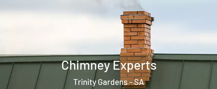 Chimney Experts Trinity Gardens - SA