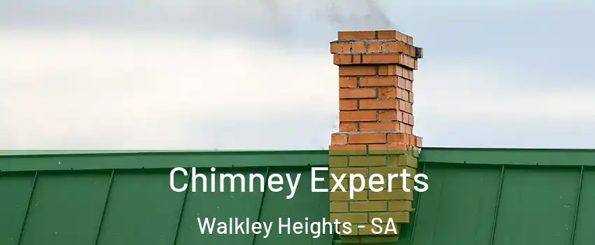 Chimney Experts Walkley Heights - SA