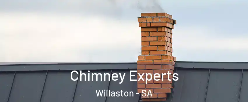Chimney Experts Willaston - SA
