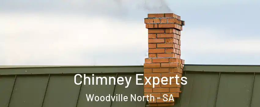 Chimney Experts Woodville North - SA